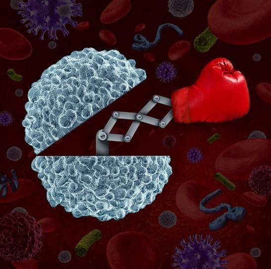 What you don’t know about your immune system