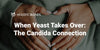 When Yeast Takes Over: The Candida Connection
