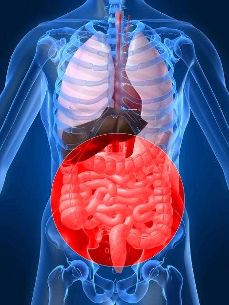 Want to stay healthy? Take care of this body part