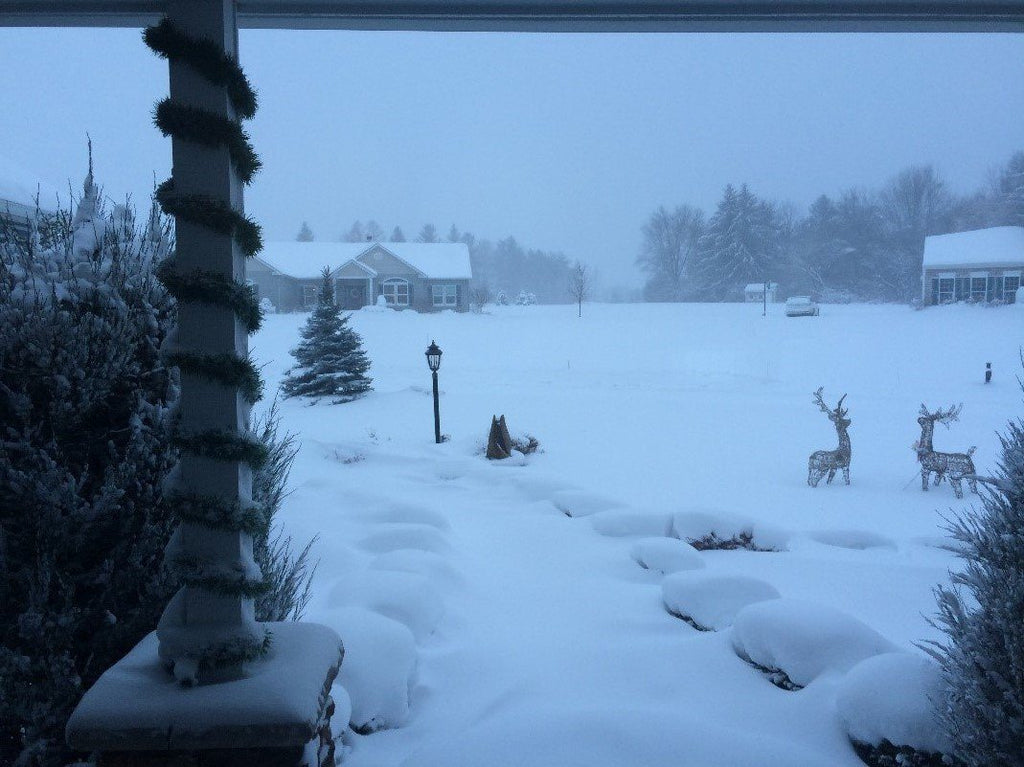 How to stay healthy during this nasty winter!