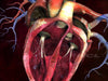 Six bad habits that can cause heart disease