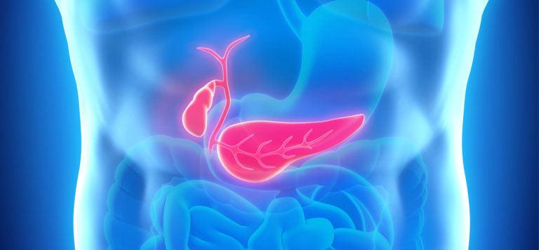 Your gallbladder—Nature’s “mistake” or vital organ?