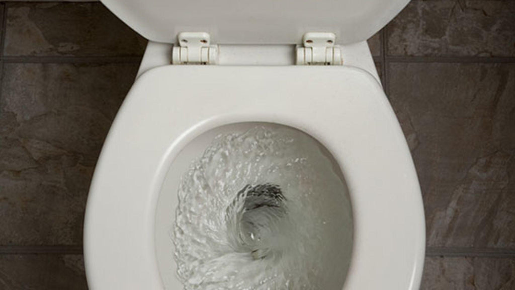 Why you should look in your toilet before you flush