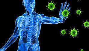 5 ways to get you on the road to a robust immune system!