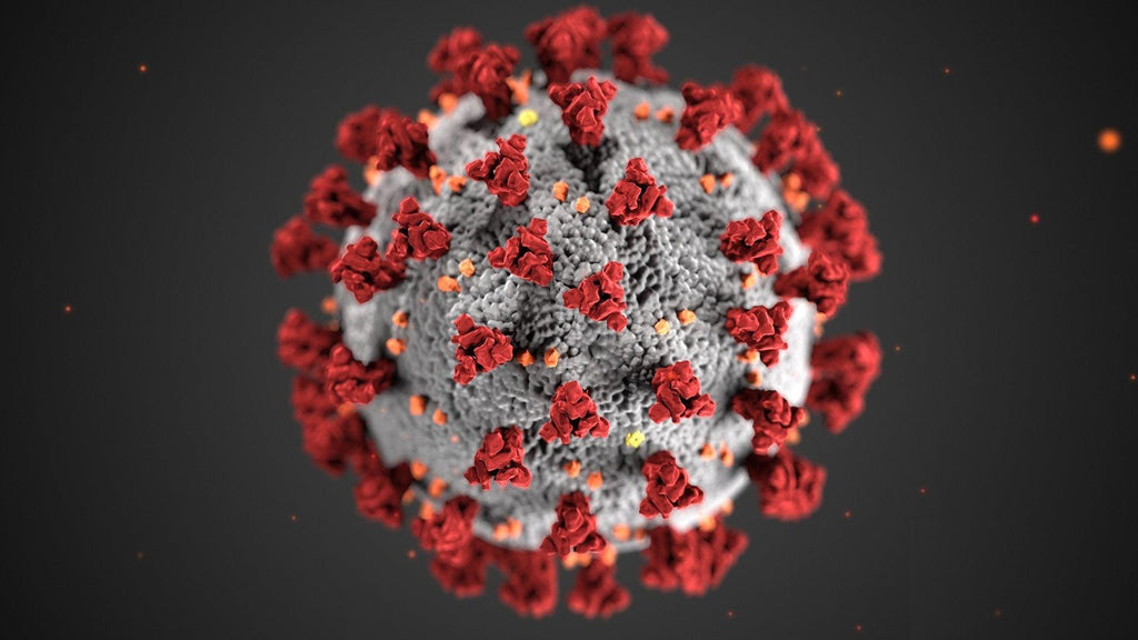 More Coronavirus questions---4th installment