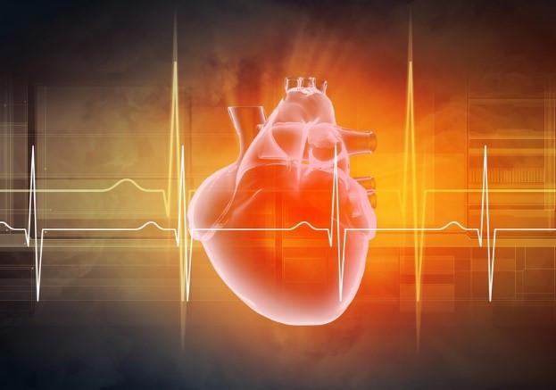 8 ways to slash your heart disease risk