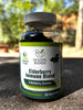 Image of Elderberry immunity blend supplement holistic blends